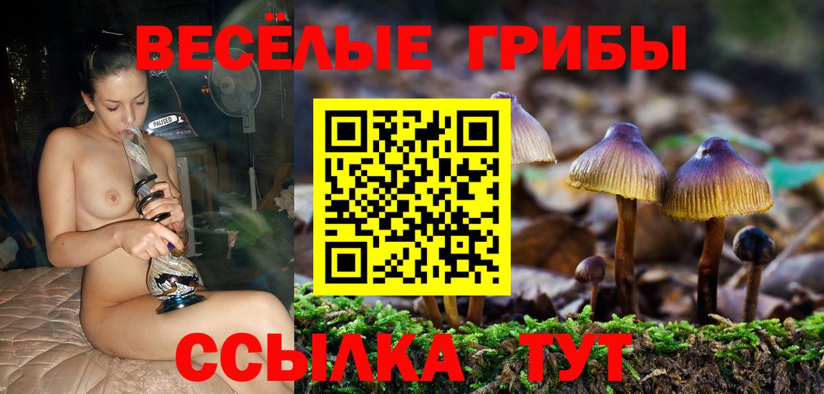 Псилоцибиновые грибы Psilocybine cubensis  Вход с VPN  купить закладку  Протвино 